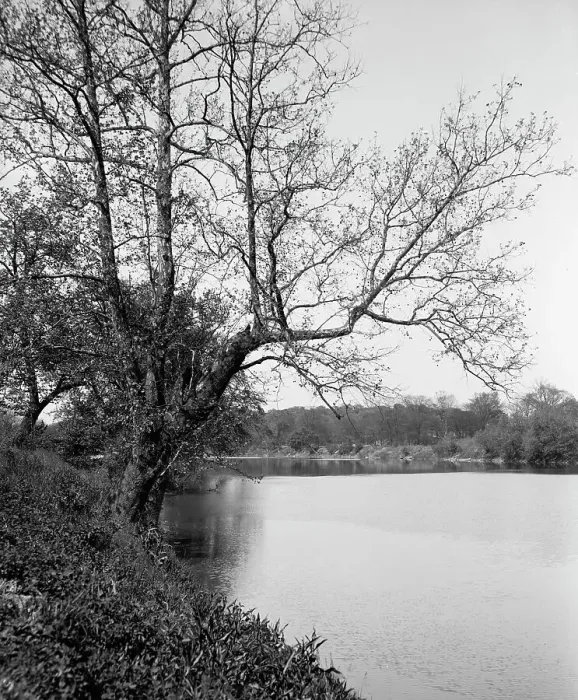 Framed Print : The White River, Riverside Park, Indianapolis, Ind. between 1900 and 1910. Creator: Unknown Framed Print : The White River, Riverside Park, Indianapolis, Ind. between 1900 and 1910. Creator: Unknown