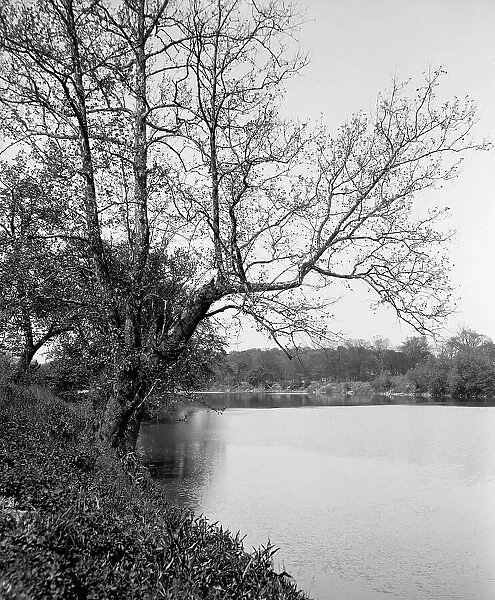 The White River, Riverside Park, Indianapolis, Ind. between 1900 and 1910. Creator: Unknown