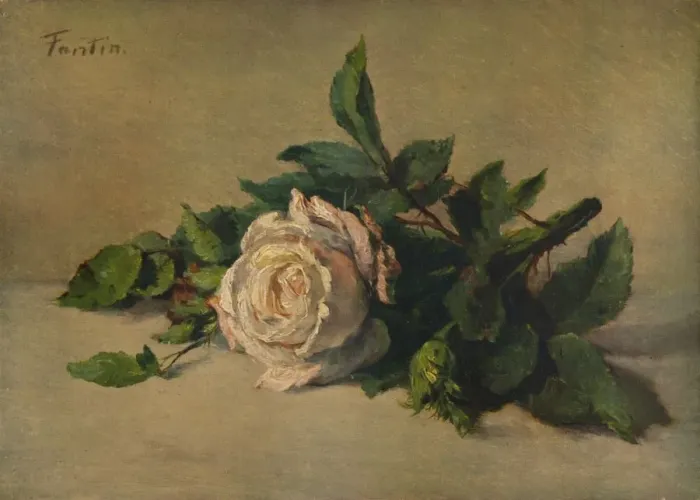 Framed Print : White Rose, c1863, (1938). Artist: Henri Fantin-Latour Framed Print : White Rose, c1863, (1938). Artist: Henri Fantin-Latour