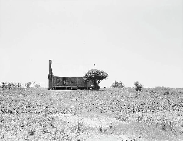 White sharecropper's home, near Cleveland, Mississippi, 1937. Creator: Dorothea Lange
