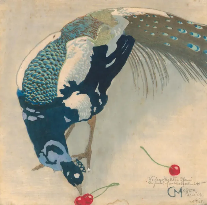 Framed Print : White-Spotted Peacock, 1906 Framed Print : White-Spotted Peacock, 1906