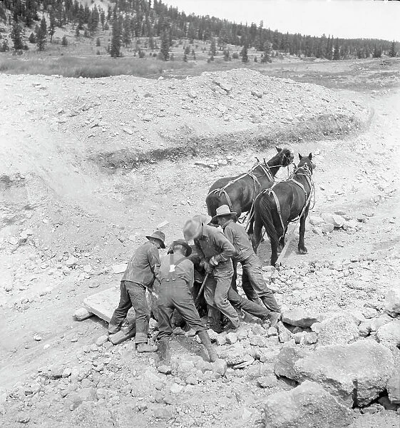 Widtsoe land use adjustment project, Garfield County, Utah, 1936. Creator: Dorothea Lange
