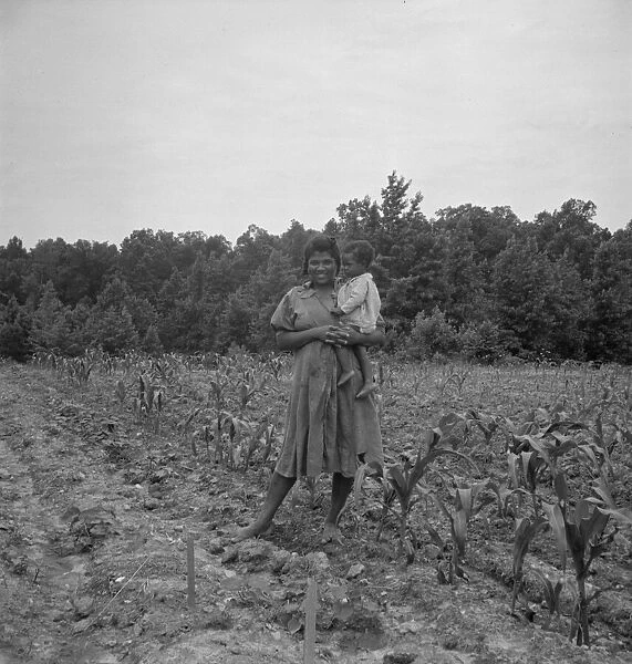 Wife and child of... sharecropper... Hillside Farm, Person County, North Carolina, 1939. Creator: Dorothea Lange