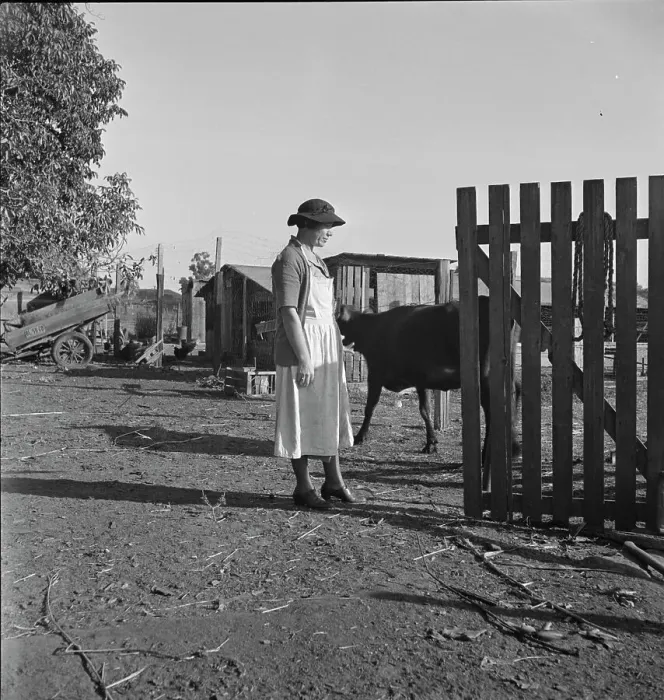 Framed Print : Wife of Farm Security Administration rural rehabilitation client, Tulare County, California, 1938. Creator: Dorothea Lange Framed Print : Wife of Farm Security Administration rural rehabilitation client, Tulare County, California, 1938. Creator: Dorothea Lange