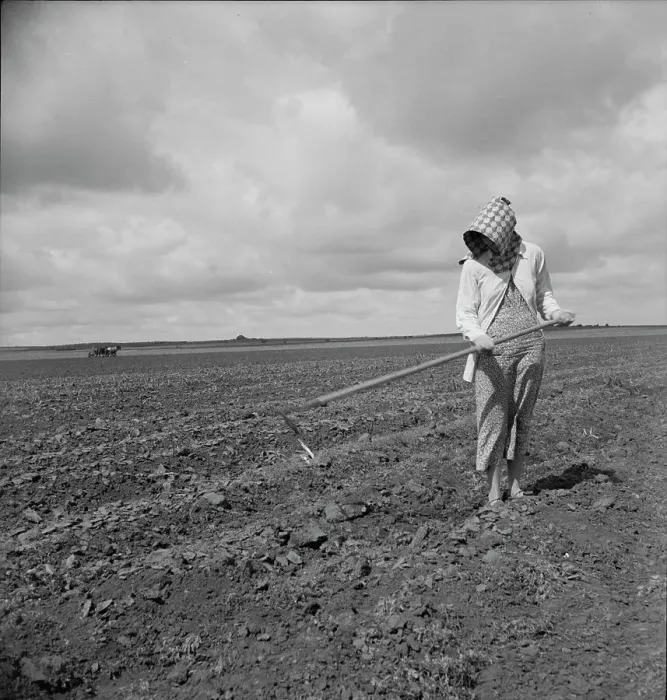 Framed Print : Wife of Texas tenant farmer, 1937. Creator: Dorothea Lange Framed Print : Wife of Texas tenant farmer, 1937. Creator: Dorothea Lange