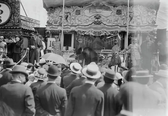 Framed Print : Wild Animal Show - Coney Island, between c1910 and c1915. Creator: Bain News Service Framed Print : Wild Animal Show - Coney Island, between c1910 and c1915. Creator: Bain News Service