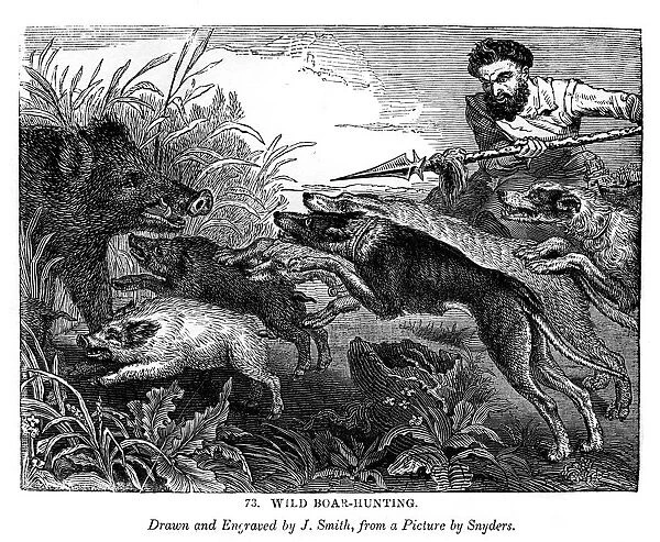 Wild boar hunting, c1600-1650 (1843). Artist: J Smith