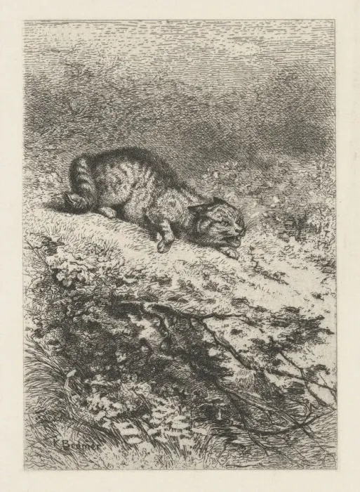 Framed Print : Wild Cat, ca. 1860. Creator: Karl Bodmer Framed Print : Wild Cat, ca. 1860. Creator: Karl Bodmer