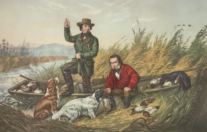 Framed Print : Wild Duck Shooting, A Good Days Sport, pub Framed Print : Wild Duck Shooting, A Good Days Sport, pub