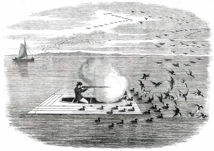 Framed Print : Wild Duck Shooting on the Potomac, 1850. Creator: Unknown Framed Print : Wild Duck Shooting on the Potomac, 1850. Creator: Unknown