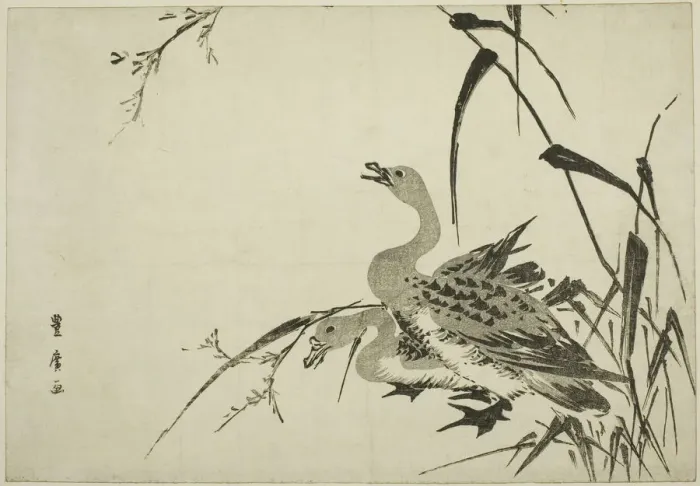 Framed Print : Wild Geese and Reeds, c. 1810. Creator: Utagawa Toyohiro Framed Print : Wild Geese and Reeds, c. 1810. Creator: Utagawa Toyohiro