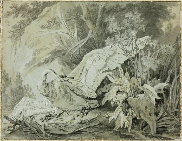 Framed Print : A Wild Swan Attacked by a Dog, c. 1740. Creator: Jean-Baptiste Oudry Framed Print : A Wild Swan Attacked by a Dog, c. 1740. Creator: Jean-Baptiste Oudry
