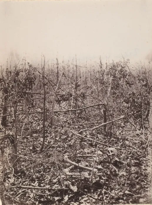 Framed Print : The Wilderness Battlefield, 1864. Creator: Unknown Framed Print : The Wilderness Battlefield, 1864. Creator: Unknown