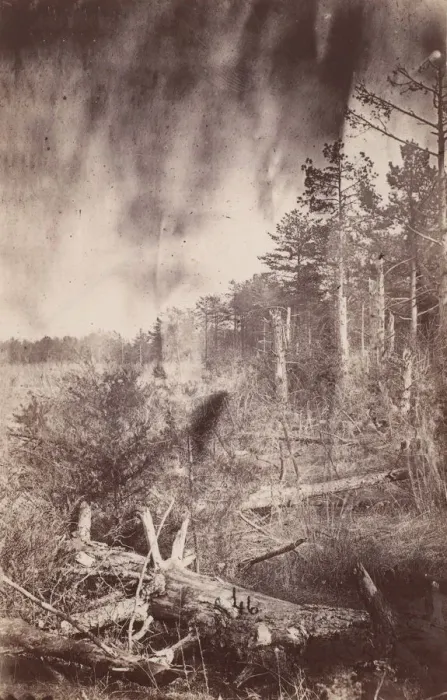 Framed Print : The Wilderness Battlefield, 1864. Creator: Unknown Framed Print : The Wilderness Battlefield, 1864. Creator: Unknown