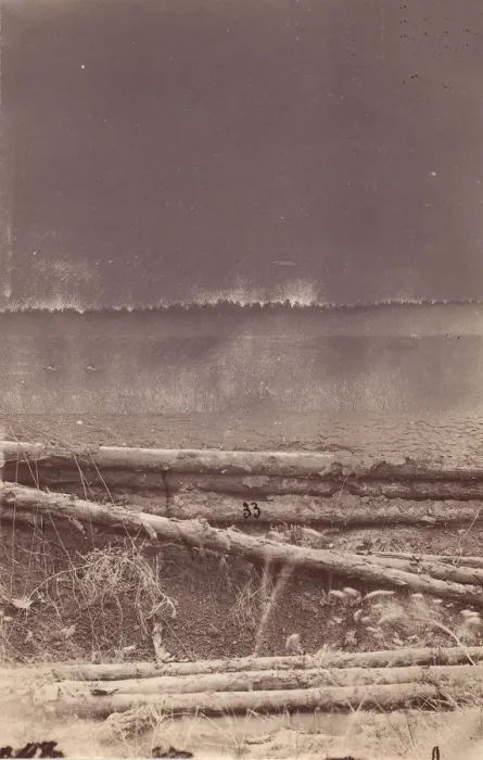 Framed Print : The Wilderness Battlefield, 1864. Creator: Unknown Framed Print : The Wilderness Battlefield, 1864. Creator: Unknown