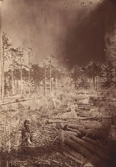 Framed Print : The Wilderness Battlefield, 1864. Creator: Unknown Framed Print : The Wilderness Battlefield, 1864. Creator: Unknown