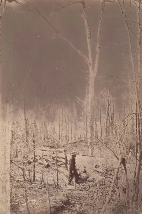 Framed Print : The Wilderness Battlefield, 1864. Creator: Unknown Framed Print : The Wilderness Battlefield, 1864. Creator: Unknown