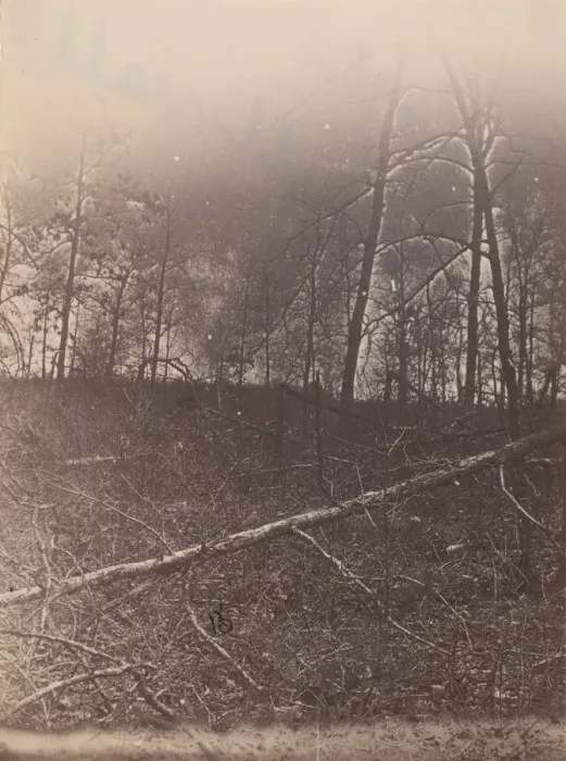 Framed Print : The Wilderness Battlefield, 1864. Creator: Unknown Framed Print : The Wilderness Battlefield, 1864. Creator: Unknown