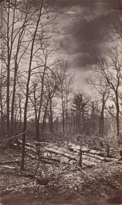 Framed Print : The Wilderness Battlefield, 1864. Creator: Unknown Framed Print : The Wilderness Battlefield, 1864. Creator: Unknown