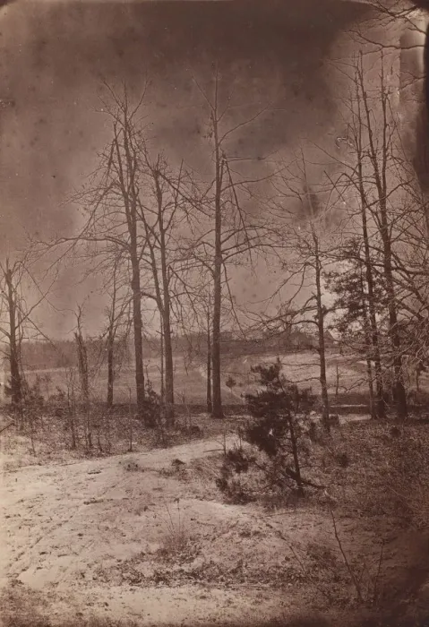 Framed Print : The Wilderness Battlefield, 1864. Creator: Unknown Framed Print : The Wilderness Battlefield, 1864. Creator: Unknown