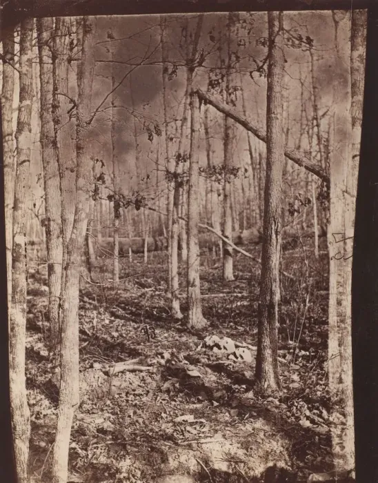 Framed Print : The Wilderness Battlefield, 1864. Creator: Unknown Framed Print : The Wilderness Battlefield, 1864. Creator: Unknown