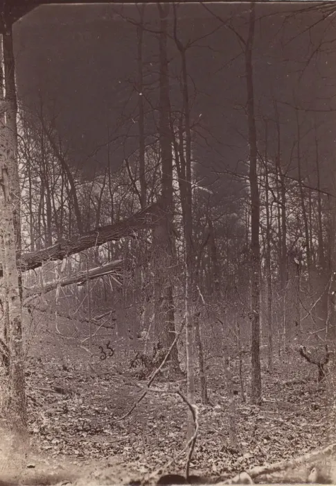 Framed Print : The Wilderness Battlefield, 1864. Creator: Unknown Framed Print : The Wilderness Battlefield, 1864. Creator: Unknown