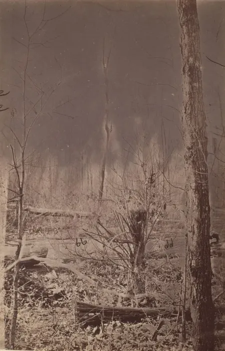 Framed Print : The Wilderness Battlefield, 1864. Creator: Unknown Framed Print : The Wilderness Battlefield, 1864. Creator: Unknown