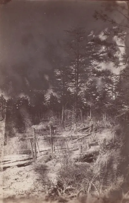 Framed Print : The Wilderness Battlefield, 1864. Creator: Unknown Framed Print : The Wilderness Battlefield, 1864. Creator: Unknown