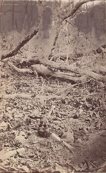 The Wilderness Battlefield, near Spotsylvania, Virginia, 1865 (?). Creator: Unknown