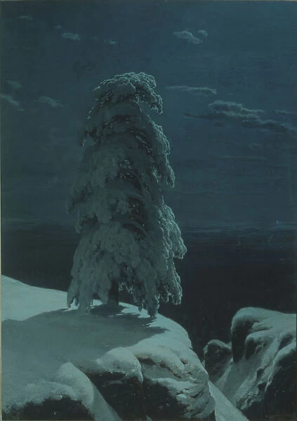 In the wilds of the North. Artist: Shishkin, Ivan Ivanovich (1832-1898)