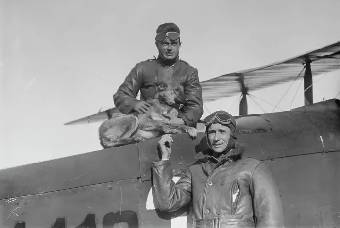Framed Print : William E. Kline, Trixie the dog, Lieutenant Belvin W. Maynard, 1919. Creator: Bain News Service Framed Print : William E. Kline, Trixie the dog, Lieutenant Belvin W. Maynard, 1919. Creator: Bain News Service
