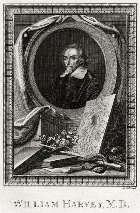 Framed Print : William Harvey, 1777. Artist: Thomas Cook Framed Print : William Harvey, 1777. Artist: Thomas Cook