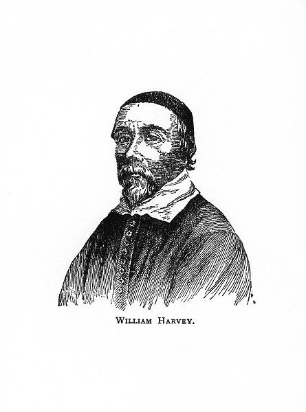 William Harvey, 17th century English physician, (20th century)
