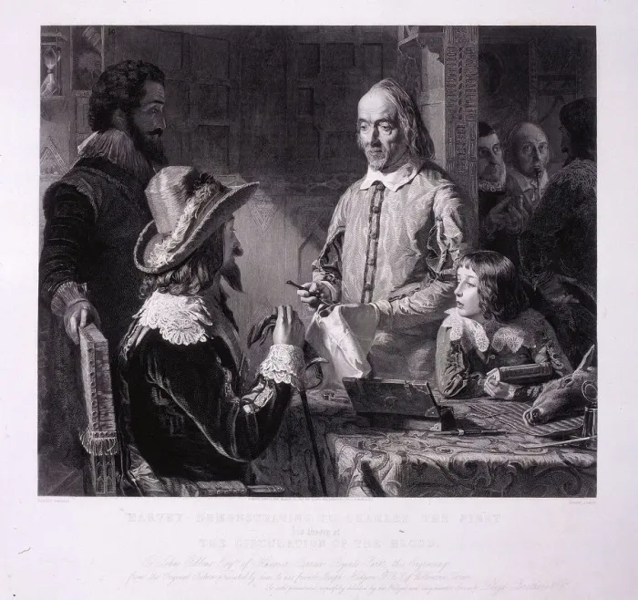 Framed Print : William Harvey demonstrating to King Charles I his theory of the circulation of the blood, 1851. Artist: H Lemon Framed Print : William Harvey demonstrating to King Charles I his theory of the circulation of the blood, 1851. Artist: H Lemon