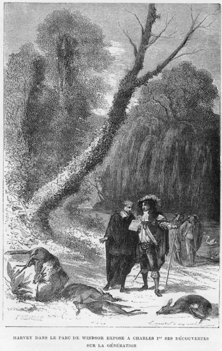 Framed Print : William Harvey, English physician, in Windsor Park, 17th century (1870) Framed Print : William Harvey, English physician, in Windsor Park, 17th century (1870)