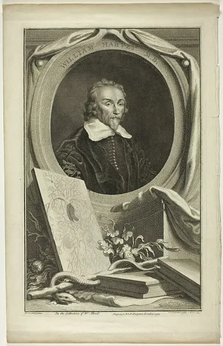 Framed Print : William Harvey, M.D. 1739. Creator: Jacobus Houbraken Framed Print : William Harvey, M.D. 1739. Creator: Jacobus Houbraken