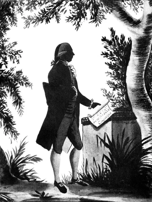 Framed Print : William Pitt the Younger, English statesman, 1781 (1912) Framed Print : William Pitt the Younger, English statesman, 1781 (1912)