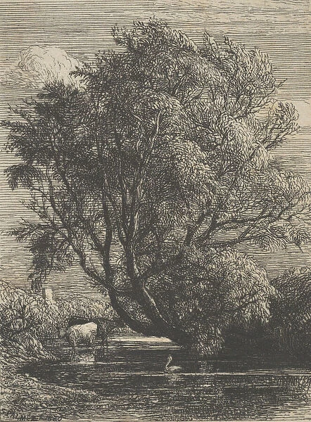 The Willow, 1850. Creator: Samuel Palmer