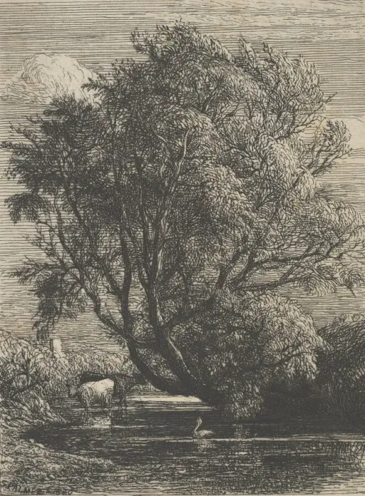 Framed Print : The Willow, 1850. Creator: Samuel Palmer Framed Print : The Willow, 1850. Creator: Samuel Palmer