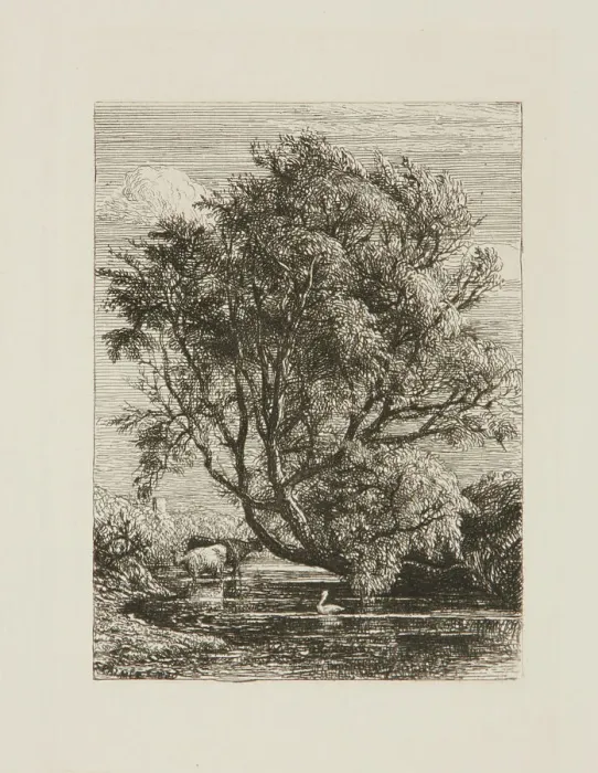 Framed Print : The Willow, 1850. Creator: Samuel Palmer Framed Print : The Willow, 1850. Creator: Samuel Palmer