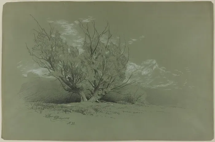 Framed Print : Willow, 1885. Creator: David Johnson Framed Print : Willow, 1885. Creator: David Johnson