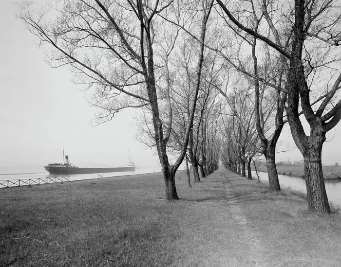 Framed Print : Willow Avenue, Star Island, Ste. Claire [sic] Flats, Mich. c.between 1910 and 1920. Creator: Unknown