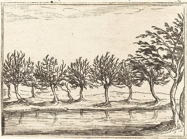 Willows by the Waters Edge, 1628. Creator: Jacques Callot