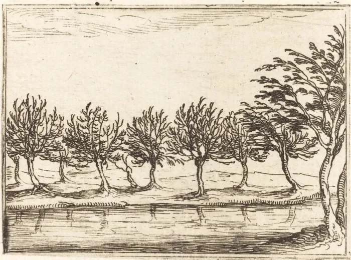 Framed Print : Willows by the Waters Edge, 1628. Creator: Jacques Callot Framed Print : Willows by the Waters Edge, 1628. Creator: Jacques Callot