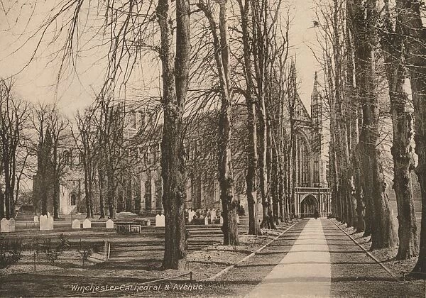 Winchester Cathedral and Avenue, Hampshire, early 20th century(?)