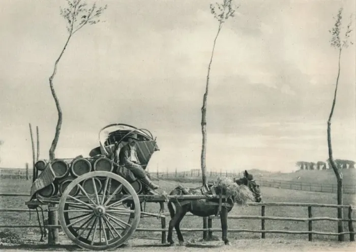 Framed Print : Wine-carrier in the Campagna, Rome, Italy, 1927. Artist: Eugen Poppel Framed Print : Wine-carrier in the Campagna, Rome, Italy, 1927. Artist: Eugen Poppel