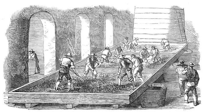Framed Print : Wine-Making, at the Chateau Lafitte, 1854. Creator: Unknown Framed Print : Wine-Making, at the Chateau Lafitte, 1854. Creator: Unknown