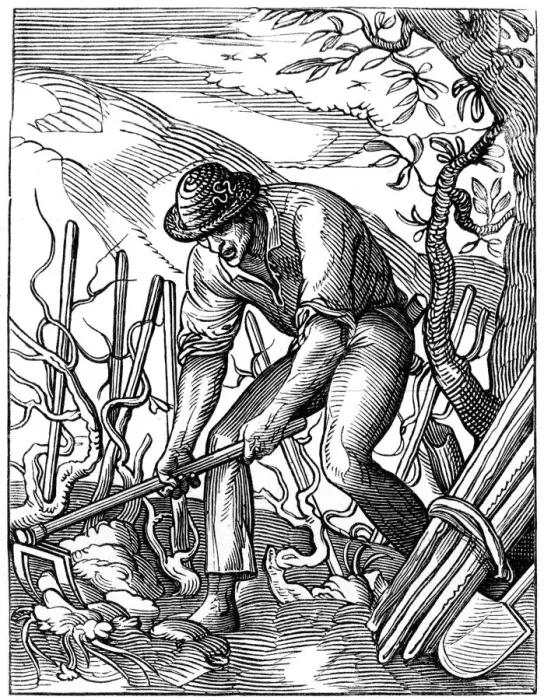 Framed Print : Winemaker, 16th century (1849). Artist: Jost Amman Framed Print : Winemaker, 16th century (1849). Artist: Jost Amman