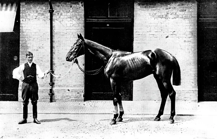 Framed Print : The Winner of the Derby: Lord Rosebery's Sir Visto, 1895. Creator: Clarence Hailey. The Winner of the Derby: Lord Rosebery's Sir Visto, 1895. Creator: Clarence Hailey Framed Print : The Winner of the Derby: Lord Rosebery's Sir Visto, 1895. Creator: Clarence Hailey. The Winner of the Derby: Lord Rosebery's Sir Visto, 1895. Creator: Clarence Hailey