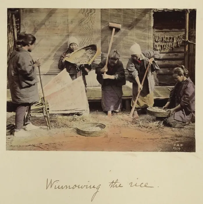 Framed Print : Winnowing the rice, about 1873-1883. Creator: Shinichi Suzuki I Framed Print : Winnowing the rice, about 1873-1883. Creator: Shinichi Suzuki I